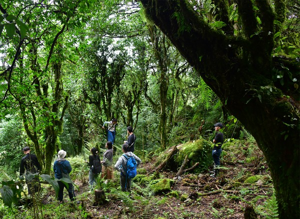 Nỗi niềm trà di sản: Phải sinh lợi, không sinh… bệnh!