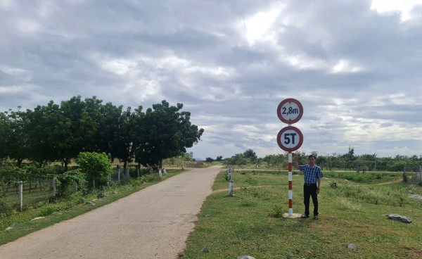 Nông dân Ninh Thuận gặp khó khi 'vướng' tải trọng đường vận chuyển mía đường