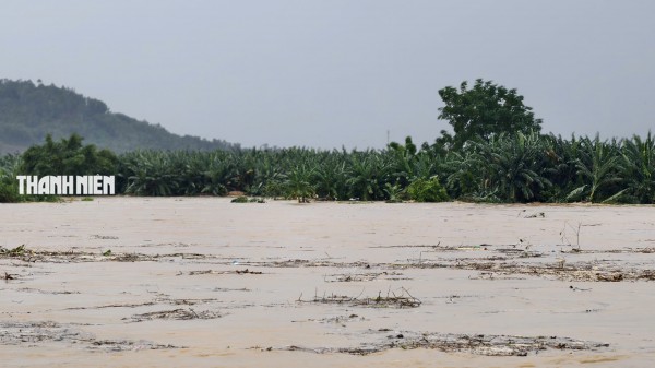 Nước lũ bao vây nhiều khu dân cư ở Quảng Ngãi Nước lũ bao vây nhiều khu dân cư ở Quảng Ngãi