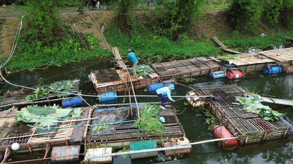 Nước sông Mã đen ngòm, bốc mùi hôi tanh