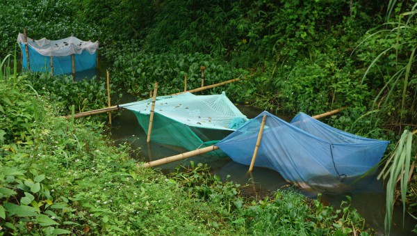 Nước sông Mã đen ngòm, bốc mùi hôi tanh