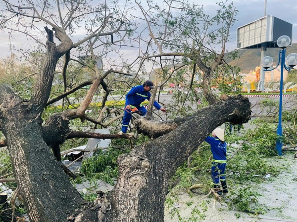 Phố biển Quy Nhơn tan hoang, đổ nát sau bão số 13 Kalmaegi Phố biển Quy Nhơn tan hoang, đổ nát sau bão số 13 Kalmaegi
