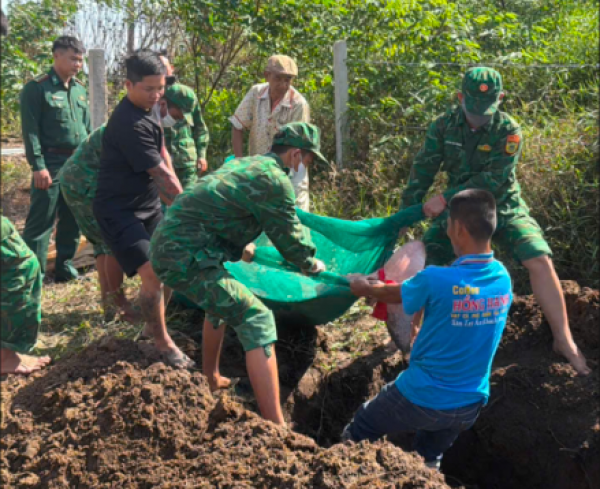 Phú Quốc: Cá heo hơn 100 kg chết, trôi dạt vào bờ biển Bãi Thơm