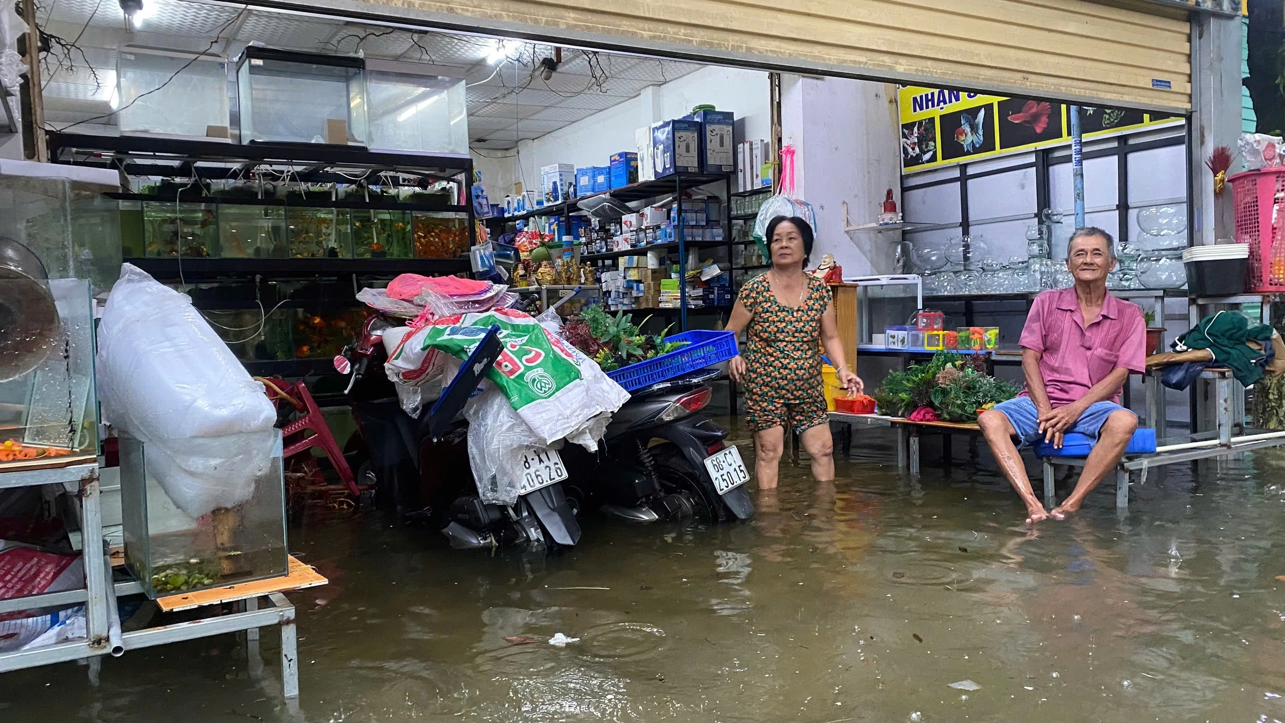 Phú Quốc: Mưa lớn gây ngập đường, người dân trắng đêm xoay xở