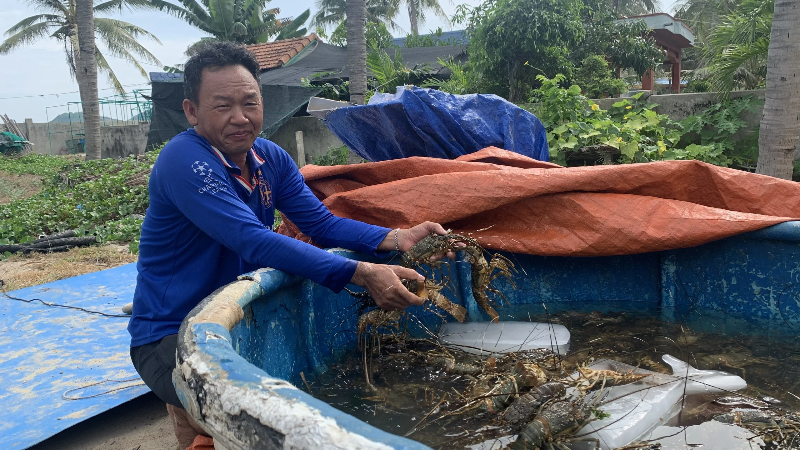 Phú Yên: Tôm cá nuôi chết hàng loạt, ngư dân lao đao