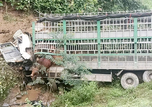 Quảng Bình: Xe tải chở bò mất lái lao vào vách núi, tài xế tử vong