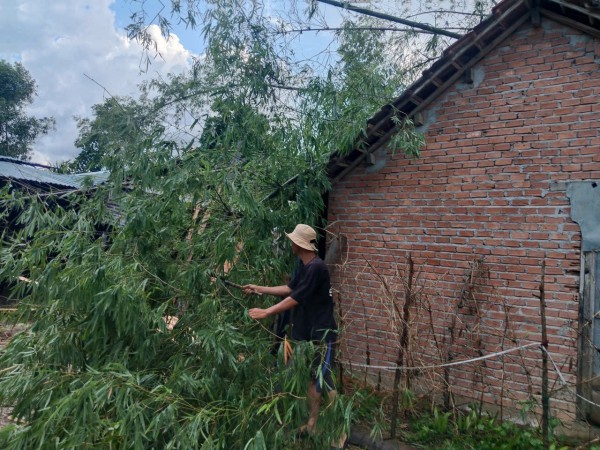 Quảng Ngãi: Lốc xoáy làm 70 nhà dân tốc mái, trụ sở UBND xã hư hỏng Quảng Ngãi: Lốc xoáy làm 70 nhà dân tốc mái, trụ sở UBND xã hư hỏng