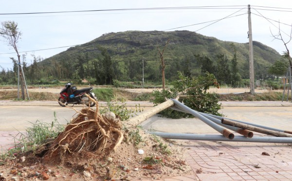 Quảng Ngãi: Đảo Lý Sơn thiệt hại hơn 62 tỉ đồng do bão số 4 Noru