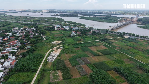 Quảng Ngãi lần đầu triển khai bảng giá đất, áp dụng từ 1.1.2026 Quảng Ngãi lần đầu triển khai bảng giá đất, áp dụng từ 1.1.2026