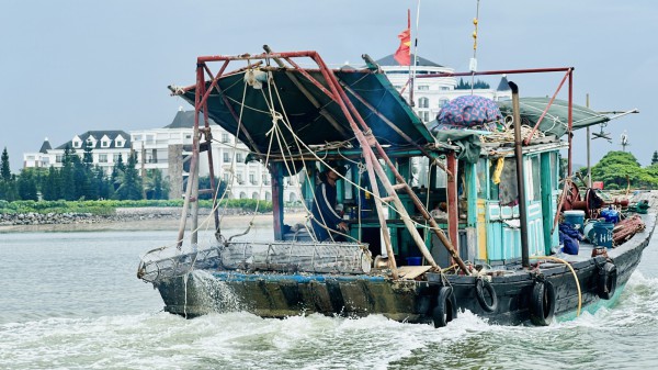 Quảng Ninh: Yêu cầu xử lý nghiêm tàu cá khai thác thủy sản bất hợp pháp