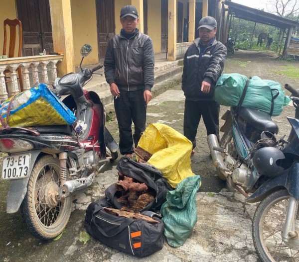 Quảng Trị: Bị khởi tố vì vận chuyển 43 kg thịt sơn dương