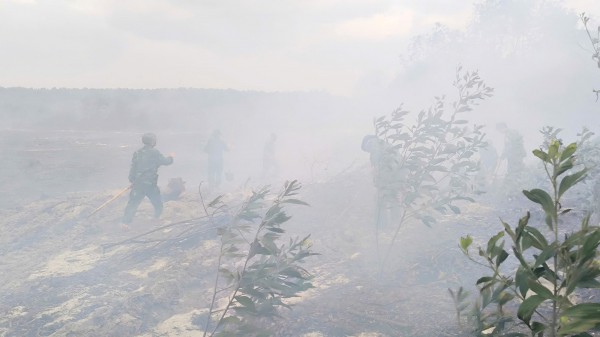 Quảng Trị: Cháy rừng phòng hộ ven biển do người dân đốt thực bì