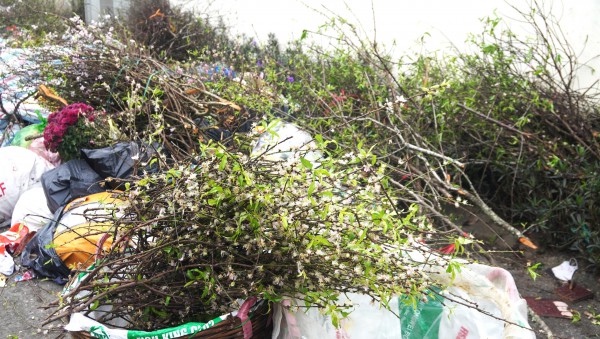 Rác thải chất thành đống ở các phường trung tâm Thanh Hóa Rác thải chất thành đống ở các phường trung tâm Thanh Hóa