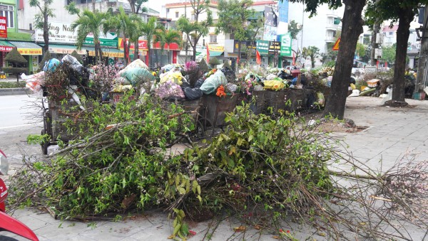 Rác thải chất thành đống ở các phường trung tâm Thanh Hóa Rác thải chất thành đống ở các phường trung tâm Thanh Hóa