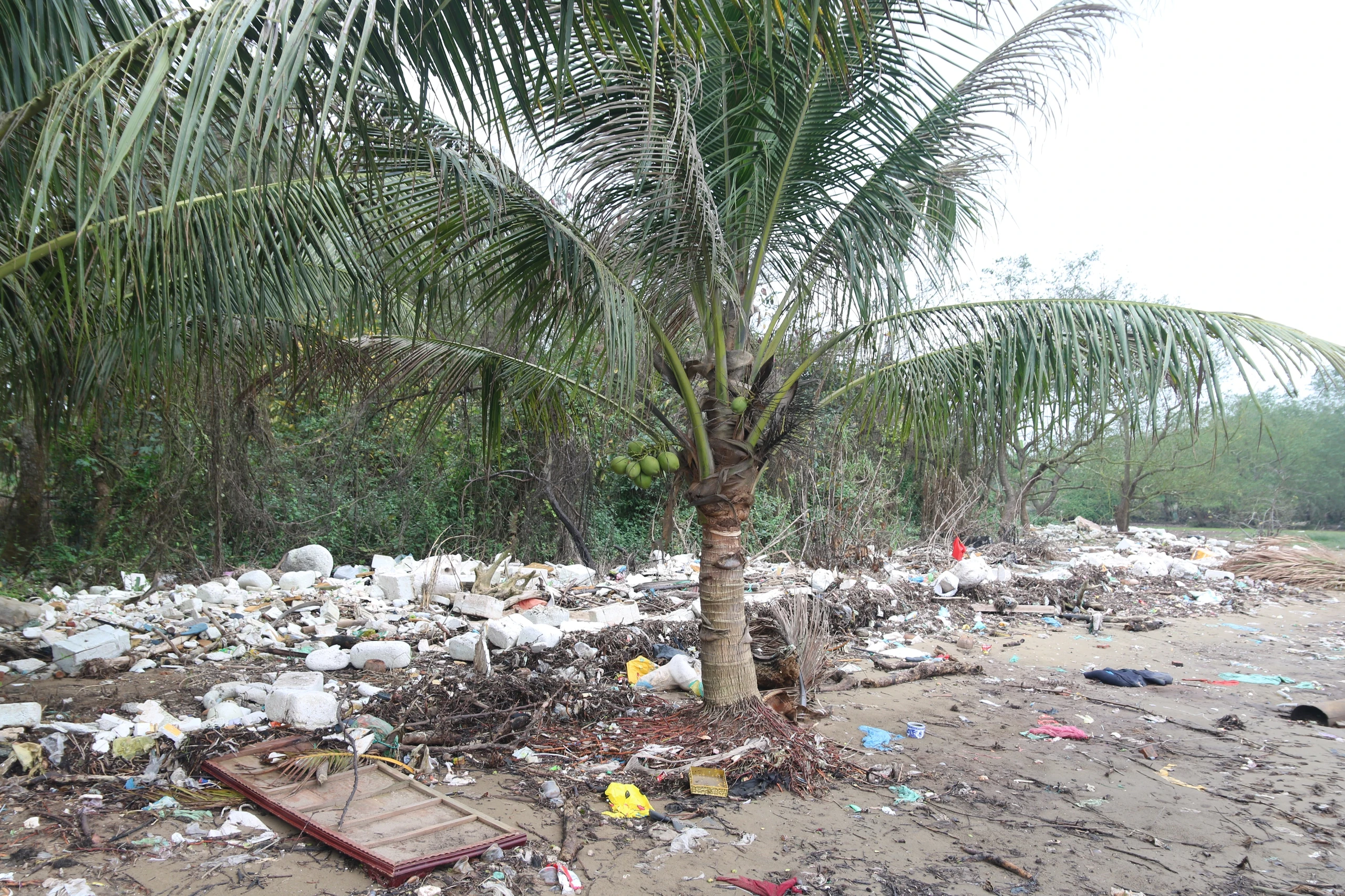 Rác thải y tế tràn lan ngoài đê biển, bìa rừng ngập mặn Hải Phòng