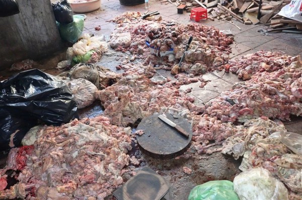 Rùng mình cảnh chế biến mỡ heo dưới nền nhà Rùng mình cảnh chế biến mỡ heo dưới nền nhà