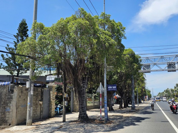 Sắp cưỡng chế, thu hồi khu đất công mua bán giấy tay giờ thành quán cà phê