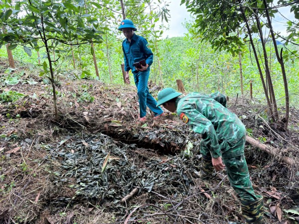 Sạt lở đe dọa trường học vùng cao, Đà Nẵng công bố tình huống khẩn cấp