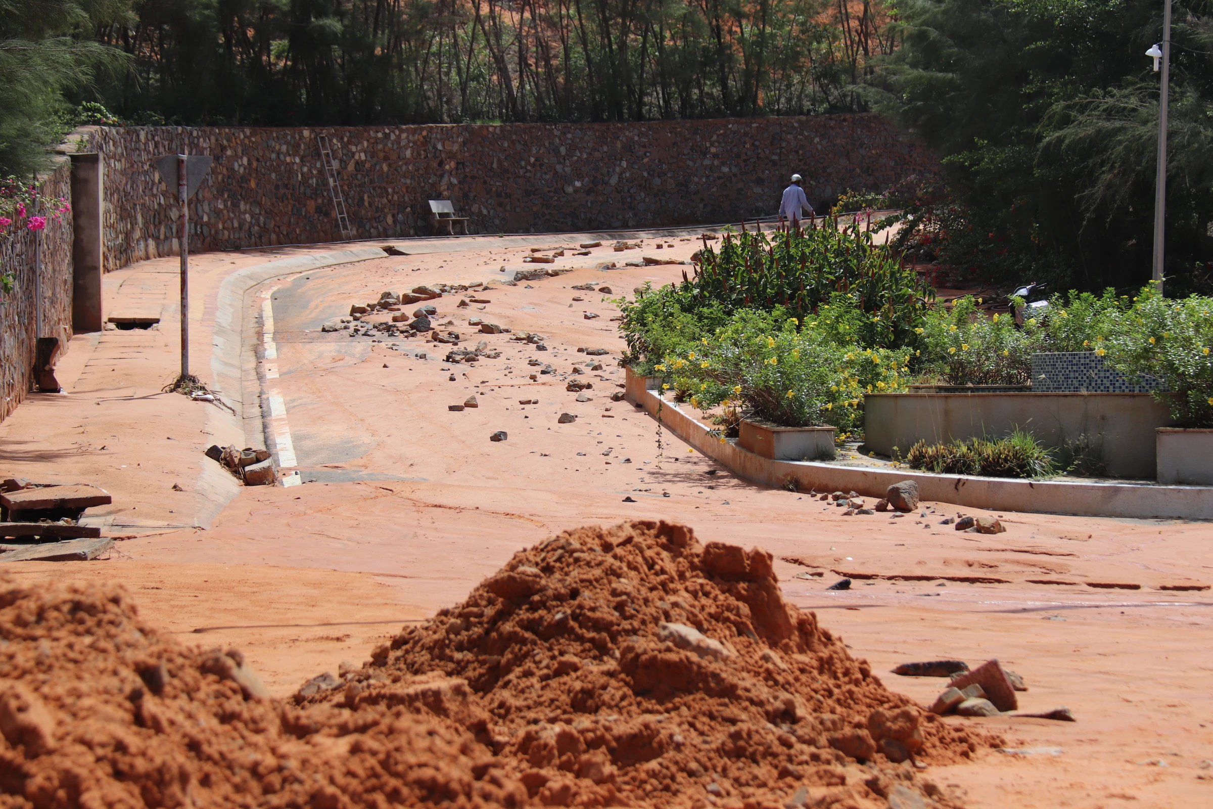 Sạt lở đồi cát ở Bình Thuận: Chuyên gia và nhà quản lý nói gì?