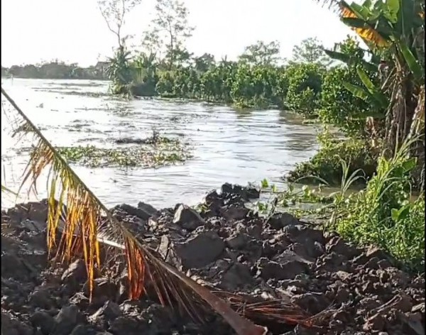 Sạt lở kinh hoàng ở Vĩnh Long, 12 nhà dân rơi xuống sông Cổ Chiên