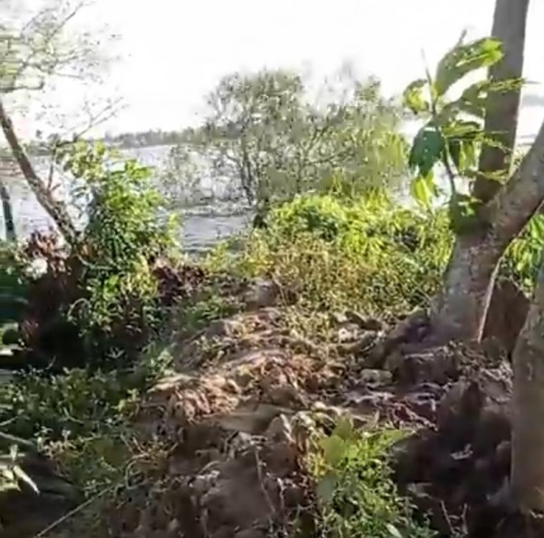 Sạt lở kinh hoàng ở Vĩnh Long, 12 nhà dân rơi xuống sông Cổ Chiên