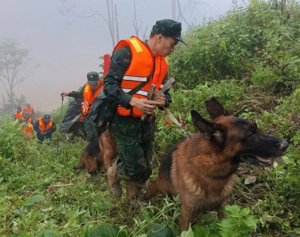 Sạt lở núi ở Đà Nẵng: Quân đội khẩn trương tìm người mất tích