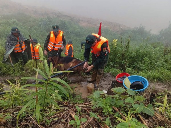 Sạt lở núi ở Đà Nẵng: Quân đội khẩn trương tìm người mất tích