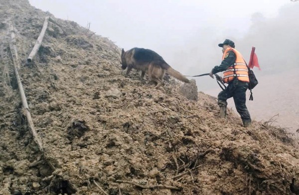 Sạt lở núi ở Đà Nẵng: Tạm dừng tìm kiếm các nạn nhân mất tích