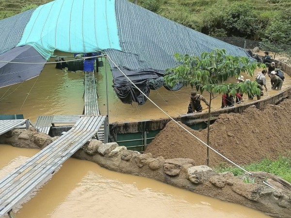 Sạt lở quả đồi, đất tràn xuống trại nuôi cá tầm, thiệt hại gần 8 tỉ đồng