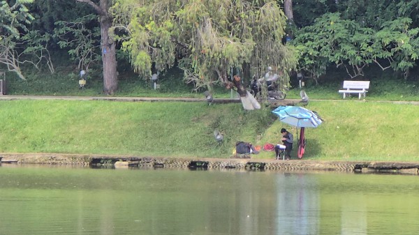 Sạt trượt ta luy, bờ kè quanh thắng cảnh hồ Xuân Hương - Đà Lạt Sạt trượt ta luy, bờ kè quanh thắng cảnh hồ Xuân Hương - Đà Lạt