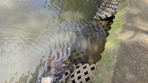 Sạt trượt ta luy, bờ kè quanh thắng cảnh hồ Xuân Hương - Đà Lạt Sạt trượt ta luy, bờ kè quanh thắng cảnh hồ Xuân Hương - Đà Lạt