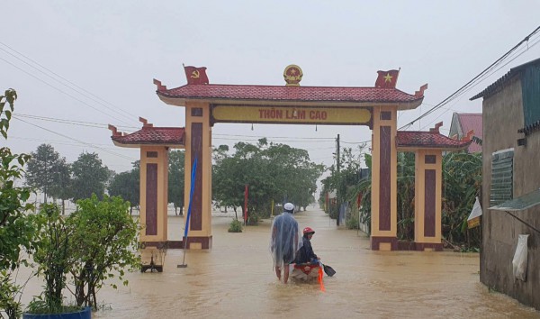 Sau bão Trà Mi, vùng trũng Vĩnh Linh ngập lụt, trôi nhiều đàn gia súc