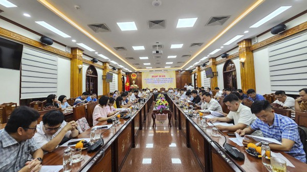 Sẽ thu hồi dự án sản xuất rau an toàn tại Bình Định do sai phạm Sẽ thu hồi dự án sản xuất rau an toàn tại Bình Định do sai phạm