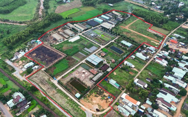 Sẽ thu hồi dự án sản xuất rau an toàn tại Bình Định do sai phạm Sẽ thu hồi dự án sản xuất rau an toàn tại Bình Định do sai phạm