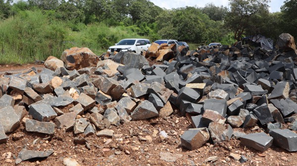 Sở Nông nghiệp và Môi trường Đồng Nai kiểm tra vụ 'khai thác đá để trồng điều' Sở Nông nghiệp và Môi trường Đồng Nai kiểm tra vụ 'khai thác đá để trồng điều'