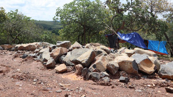 Sở Nông nghiệp và Môi trường Đồng Nai kiểm tra vụ 'khai thác đá để trồng điều' Sở Nông nghiệp và Môi trường Đồng Nai kiểm tra vụ 'khai thác đá để trồng điều'