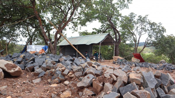 Sở Nông nghiệp và Môi trường Đồng Nai kiểm tra vụ 'khai thác đá để trồng điều' Sở Nông nghiệp và Môi trường Đồng Nai kiểm tra vụ 'khai thác đá để trồng điều'