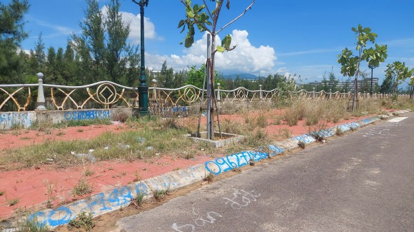 Số điện thoại 'cò đất' bủa vây làng chài du lịch ở Gia Lai Số điện thoại 'cò đất' bủa vây làng chài du lịch ở Gia Lai