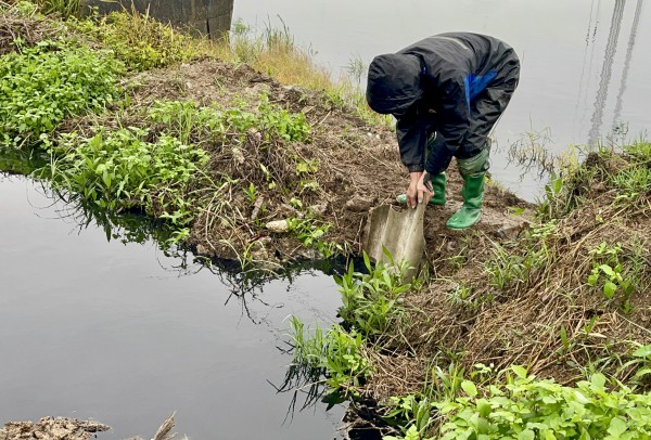 Sông Bắc Hưng Hải bị đầu độc suốt ngày đêm