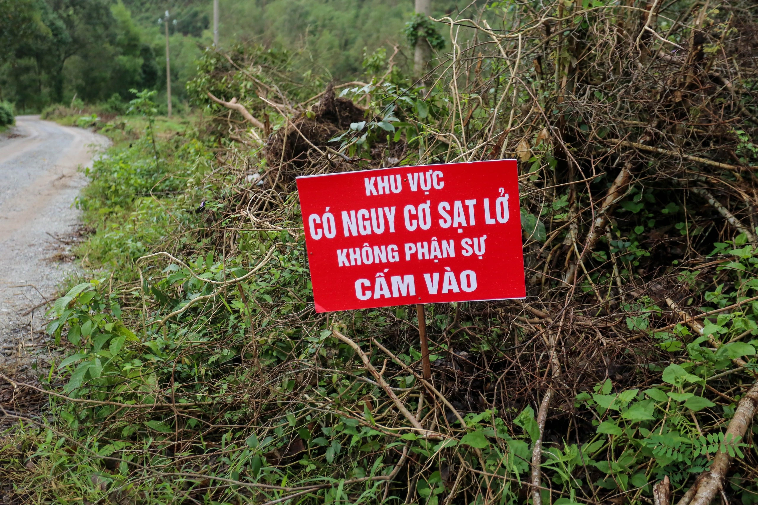 Sống dưới chân núi có nguy cơ sạt lở: 'Cứ nghe mưa là chạy'