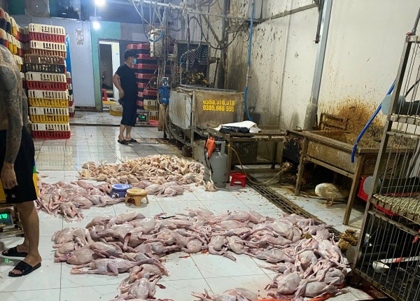 TP.HCM: Kiểm tra chợ Mỹ Phước 3, phát hiện nhiều điểm giết mổ gia cầm trái phép