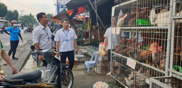 TP.HCM: Kiểm tra chợ Mỹ Phước 3, phát hiện nhiều điểm giết mổ gia cầm trái phép