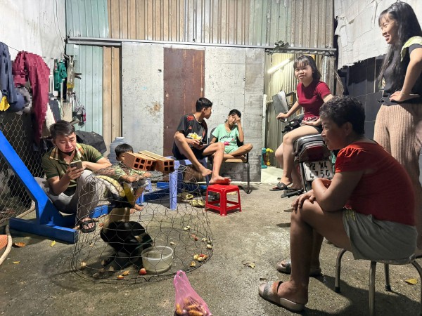 TP.HCM: Liên tiếp bắt được chim nghi là hồng hoàng quý hiếm tại xã Xuân Thới Sơn TP.HCM: Liên tiếp bắt được chim nghi là hồng hoàng quý hiếm tại xã Xuân Thới Sơn