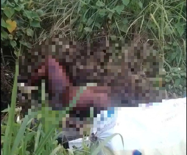 TP.HCM: Phát hiện người lõa thể, chết lâu ngày cạnh trạm thu phí