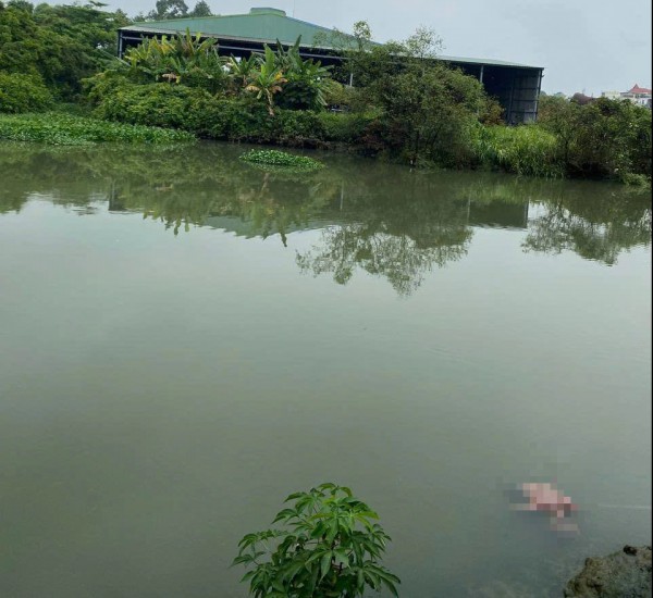 TP.HCM: Phát hiện thi thể cụ ông trôi dạt trên sông