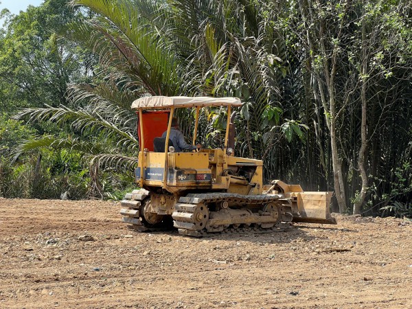 TP.HCM: San lấp trái phép gần 1.800 m2 giữa rừng cây phường Long Phước