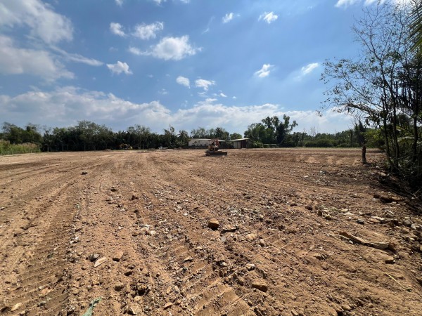 TP.HCM: San lấp trái phép gần 1.800 m2 giữa rừng cây phường Long Phước