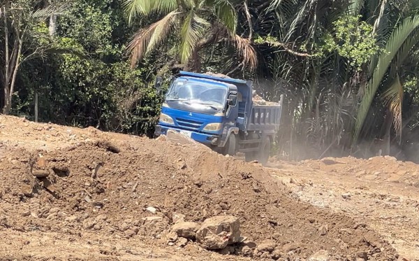 TP.HCM: San lấp trái phép gần 1.800 m2 giữa rừng cây phường Long Phước