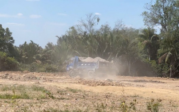 TP.HCM: San lấp trái phép gần 1.800 m2 giữa rừng cây phường Long Phước