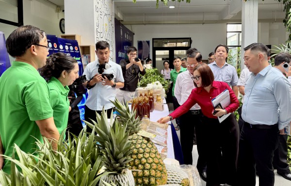 TP.HCM: Sáng tạo số trong khu vực công phát triển mạnh